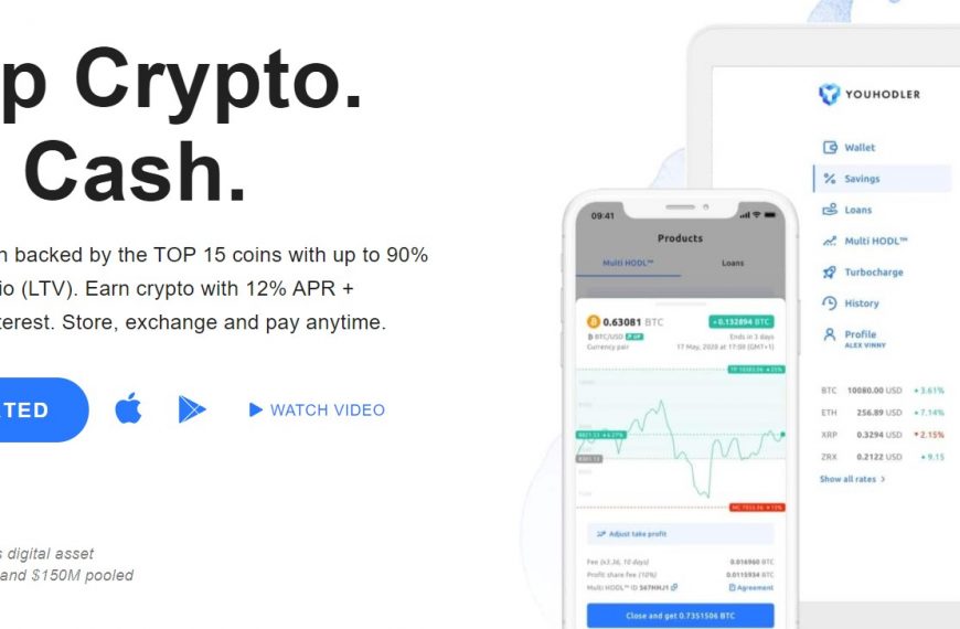 Earn 12% APY On Your Crypto Assets With You Hodler